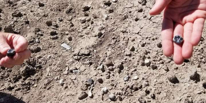 ASU scientists discover fossils suggesting new species of ancient humans