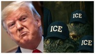 Se le acabó el circo a Trump: Jueza federal ordena desmantelar el ‘Alligator Alcatraz’
