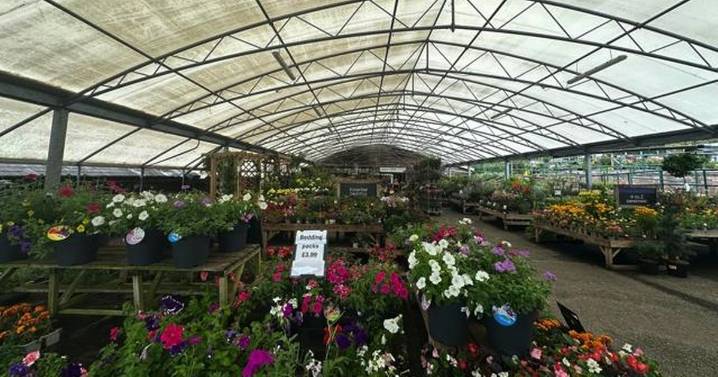 New all year round shopping plans laid out in Devon