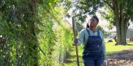 Augusta farm at odds with city over weeds, flooding