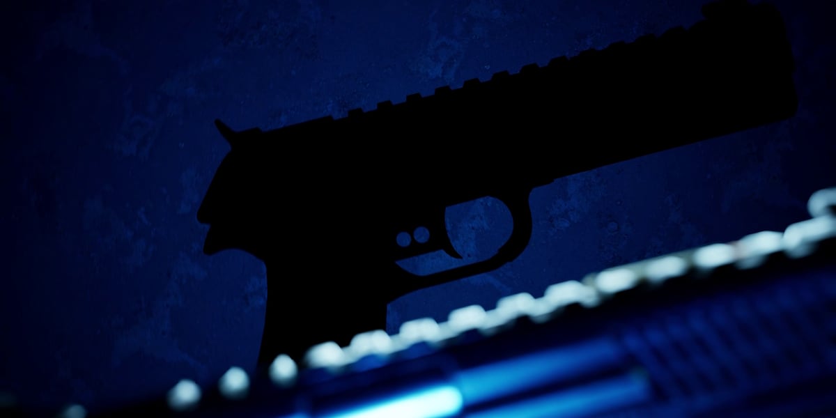 MN Supreme Court rules that ownership of “ghost guns” is legal in state