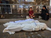UN warns of ‘child survival crisis’ amid Gaza famine; 71 killed in attacks