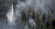 Heat wave spurs surge in active B.C. wildfires