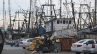 Armadores desconocen levantamiento de la veda del camarón en alta mar