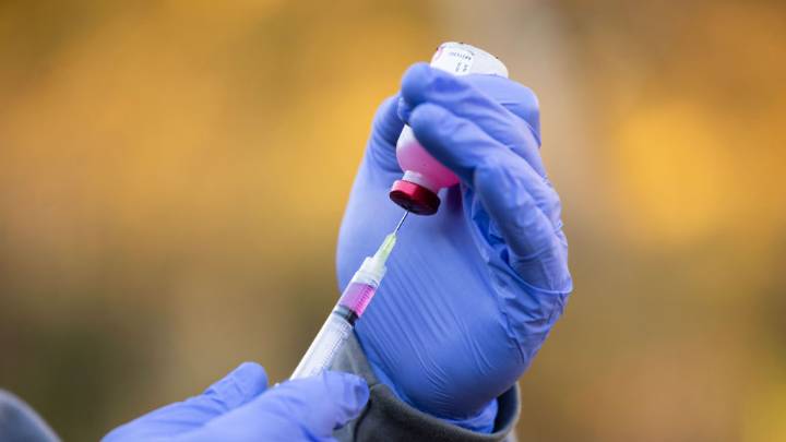 Bat found in Brantford-Brant tests positive for rabies