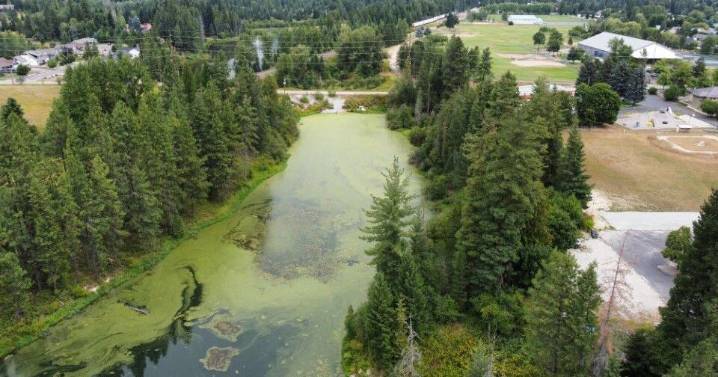 Chuck Slough faces harmful algal bloom after recent water sampling