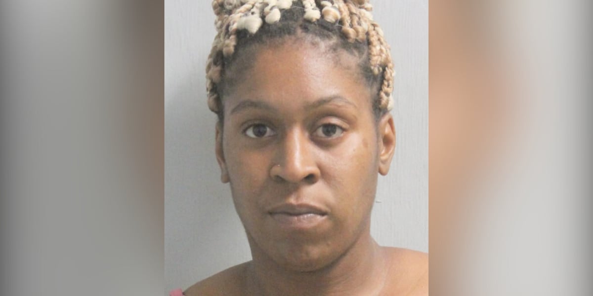 Deadly hit-and-run suspect facing manslaughter charge