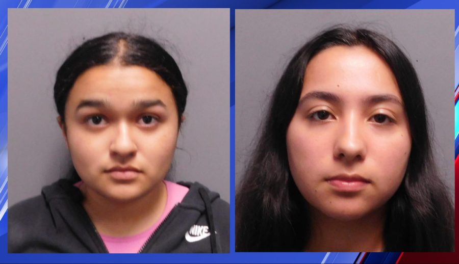 2 teens arrested for auto theft in Weslaco