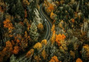 Americans Rejoice As The Most Popular U.S. National Park Reopens Banned Area In Time For Fall Foliage Season