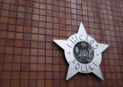 Slain officer's partner under investigation for battery