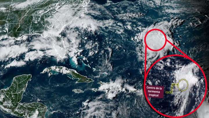Se forma la tormenta tropical Fernand: ¿llegará a las costas de México?; esta es su trayectoria