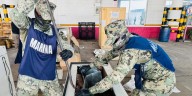 Marina y sensor canino evitan envío de 330 kilos de marihuana desde Veracruz: harían traslado en congelador tipo cofre