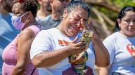 Missing New Orleans boy drowned after 'blunt force trauma' by an alligator