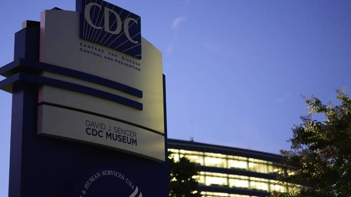 With CDC in chaos, scientists and physicians piece together replacements for agency's lost work