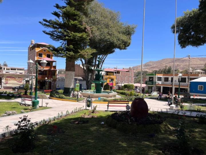 Torata registra 123 personas con discapacidad certificada