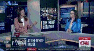 NYT's Maggie Haberman floored as Trump Cabinet gets 'endurance test' to 'praise him'