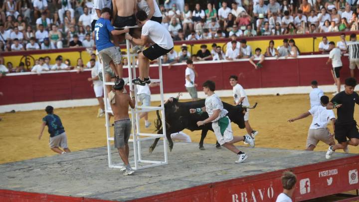 La fiesta continúa con el primer día de vaquillas: bullicio, algún susto y ningún incidente