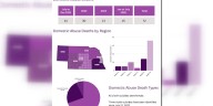 New Nebraska report calls for increased prevention, assessment regarding domestic violence deaths