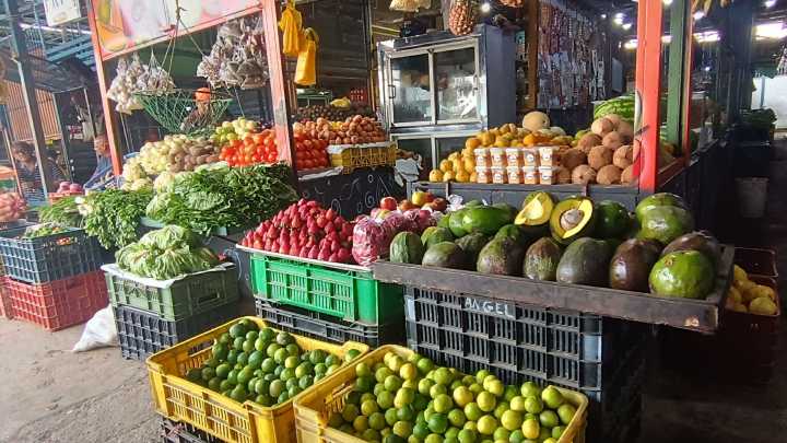 Producción de hortalizas crece 30% a pesar de retos climáticos y logísticos, según Fedeagro #27Jun