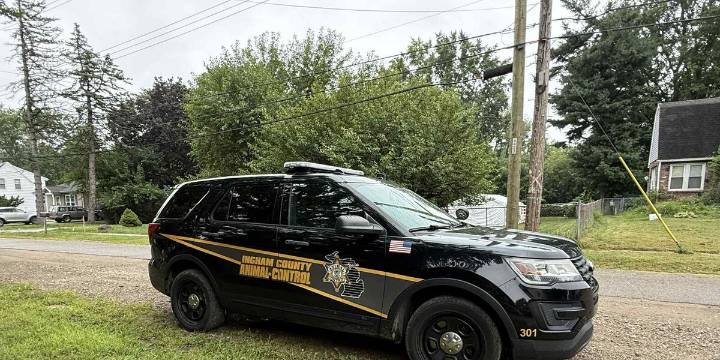 Ingham County Animal Control removes 11 dogs from Lansing home