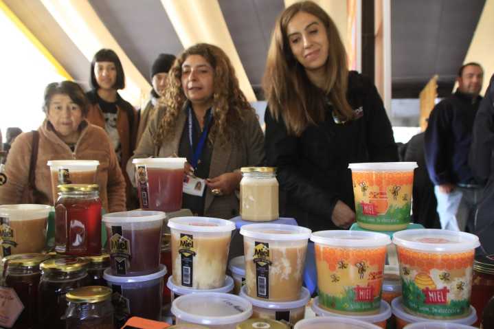 Con feria apícola el Maule celebró el Día de la Miel