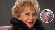 ‘Cosita’, la fiel compañera de Silvia Pinal, llora al recordar el aroma de la actriz