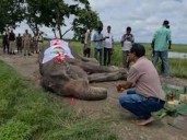 Despiden con honores a elefanta Mohanmala: India