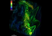 Así nació la primera estrella del universo: científicos crean una nueva simulación que revela con detalle su origen