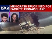 Suspects ram U-Haul truck into cannabis facility, kidnap guard