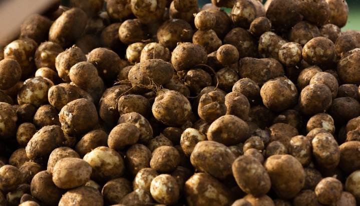 Los precios de los alimentos de la canasta familiar para la última semana de agosto