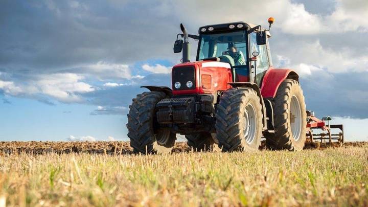 El robo del verano: una mujer denuncia a la policía que su vecino ha irrumpido con la cosechadora en su terreno para robarle todo el cultivo
