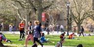New legislation requires New York colleges to have discrimination coordinators on campus
