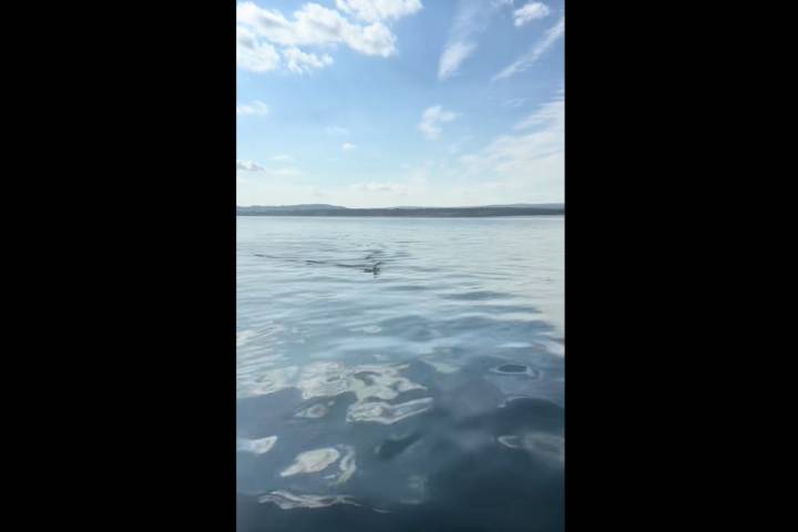 Shock as Man Kayaking Films What He Sees Below: 'Coming Right at You'