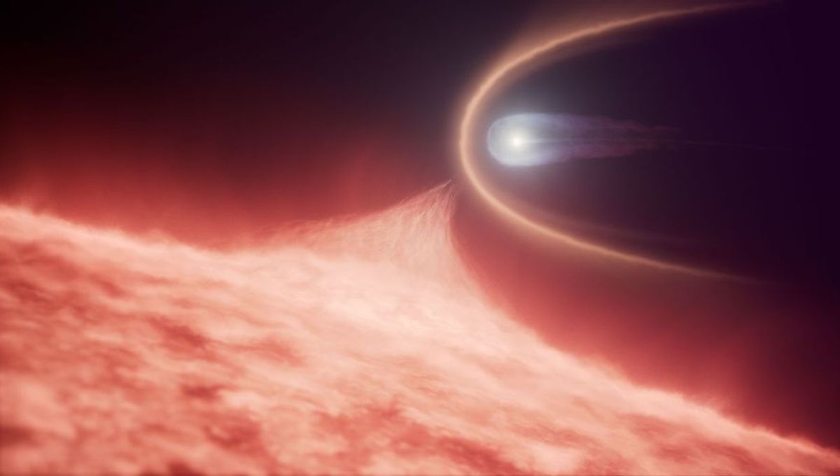 Unique White Dwarf Heavier Than The Sun Is Hiding A Merger In Its Past