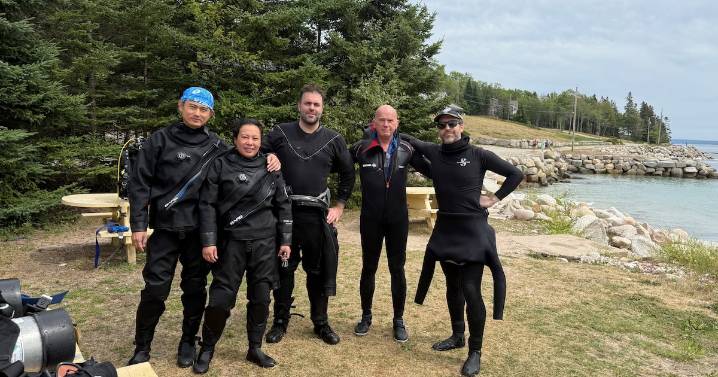 Scuba divers meet great white shark near Nova Scotia