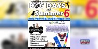 7@four previews Dog Days of Summer