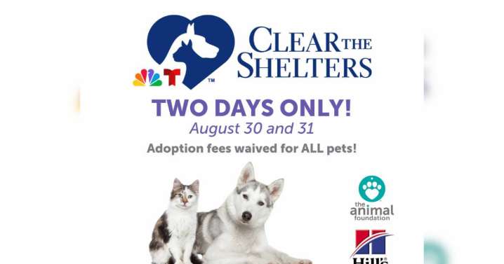 Looking to adopt a pet? Animal Foundation waives all adoption fees this weekend