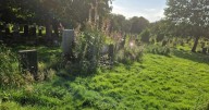 Glasgow woman 'livid' after east end cemetery left 'overgrown with weeds'
