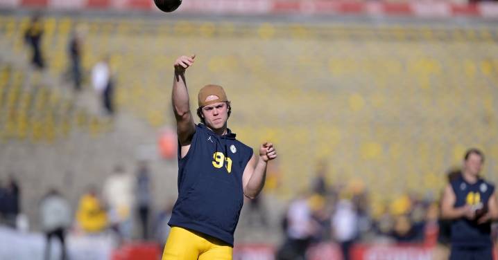 Punter Hudson Hollenbeck’s path to Michigan Football, outlook for 2025