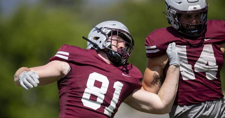 A breakdown of Montana Grizzlies' tight ends heading into the 2025 season