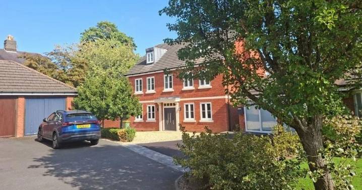 Homeowner landed with £116,000 bill after cutting down tree decade earlier