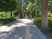 Invierten 10.5 mdp en mantenimiento de parques; Irekua se lleva la mayor parte