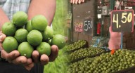 Precio del limón podría alcanzar los 10 soles en septiembre: comerciantes explican las razones