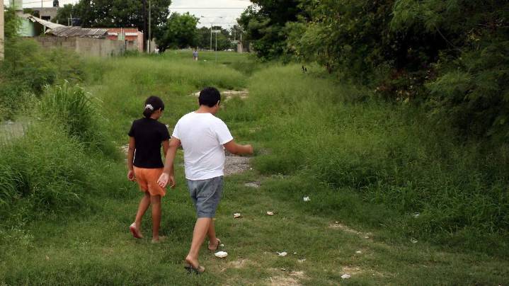 Analizan multas de hasta 10 mil pesos a dueños de terrenos baldíos sin chapolear en Tamaulipas