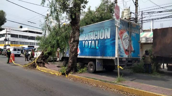 Árbol viejo cae sobre camión repartidor en la calle Mutualismo de la colonia La Suiza; conductor sale ileso