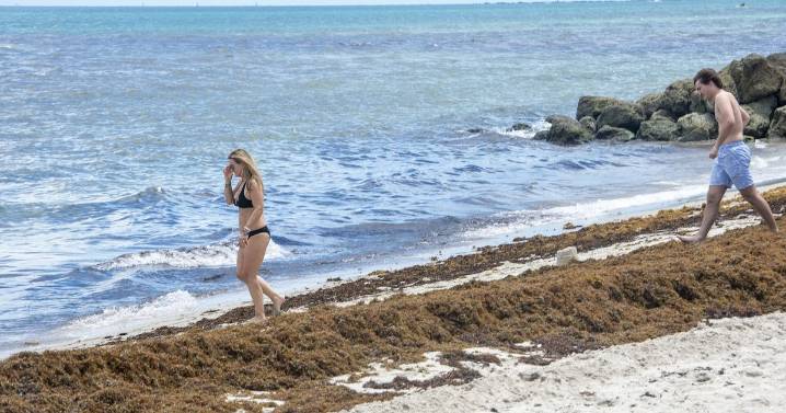 Florida encabeza inversión federal en restauración de playas, ¿cuánto gasta?