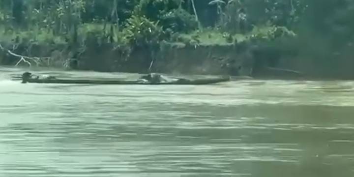 Video: Armada Nacional fue atacada con canoa bomba en el río Guaviare; no se reportaron heridos