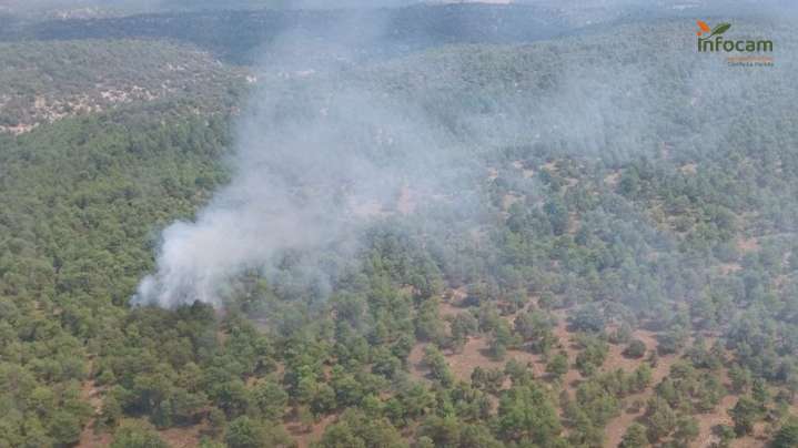 Declarado un incendio forestal de tipo arbolado en Campillos