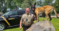 Box Elder County deputy and K9 injured in Tremonton shooting identified