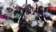 "Basta ver los videos de los terroristas de Hamás robando la ayuda humanitaria para vender los alimentos": profesor de política global sobre declaración de la ONU de "hambruna" en Gaza